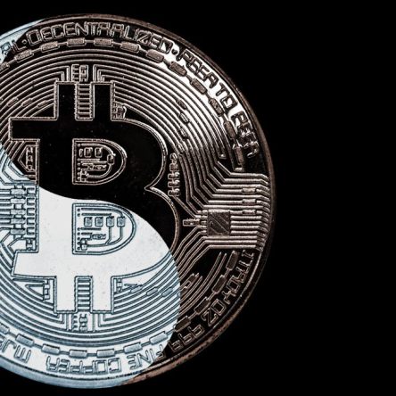 Bitcoin Mainstream and Crypto Naysayers Via Shutterstock